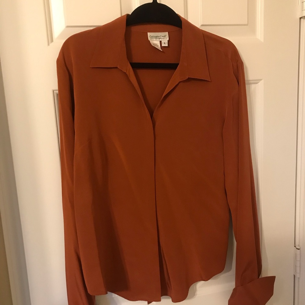 Long sleeved silk blouse, rust colored